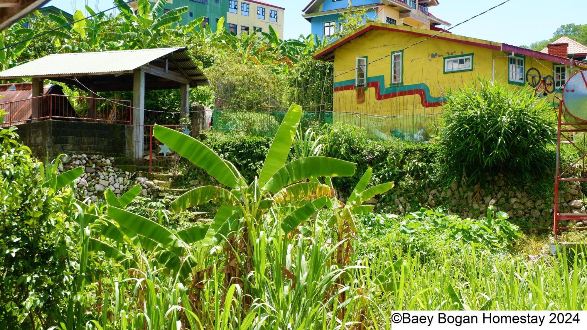 Baey Bogan Homestay Sagada Exteriér fotografie