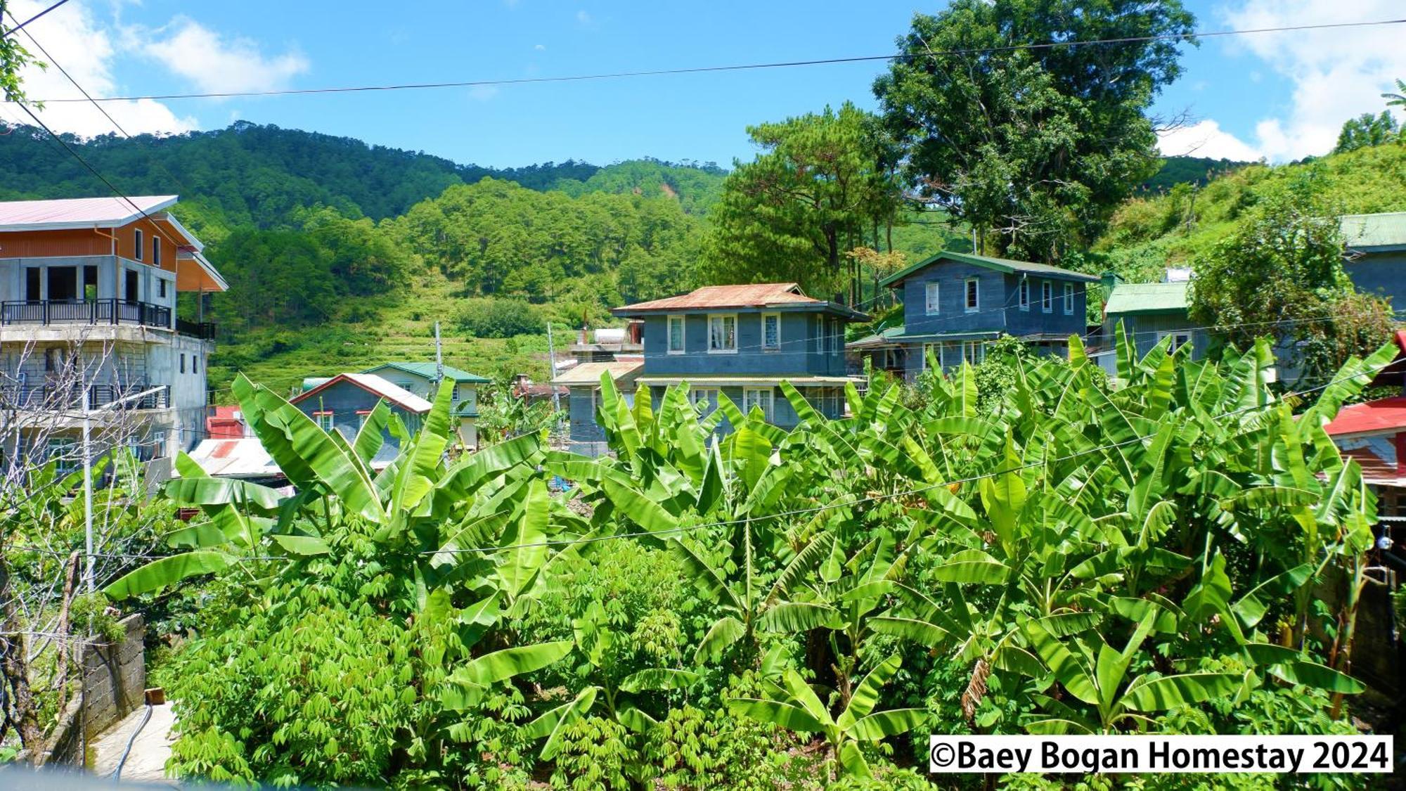 Baey Bogan Homestay Sagada Exteriér fotografie