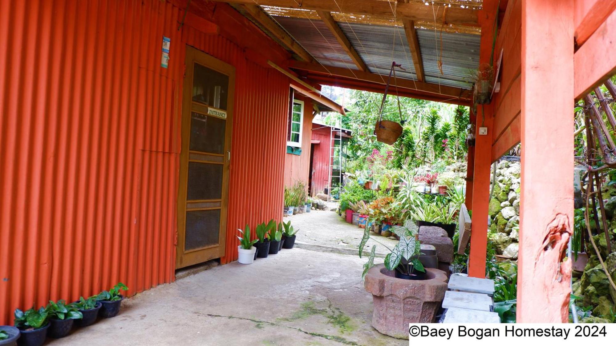 Baey Bogan Homestay Sagada Exteriér fotografie