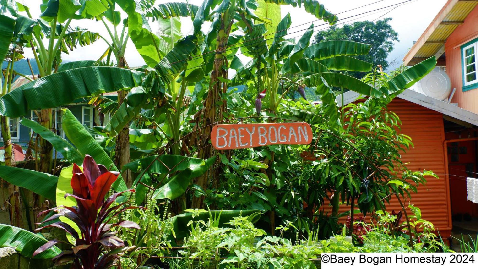 Baey Bogan Homestay Sagada Exteriér fotografie