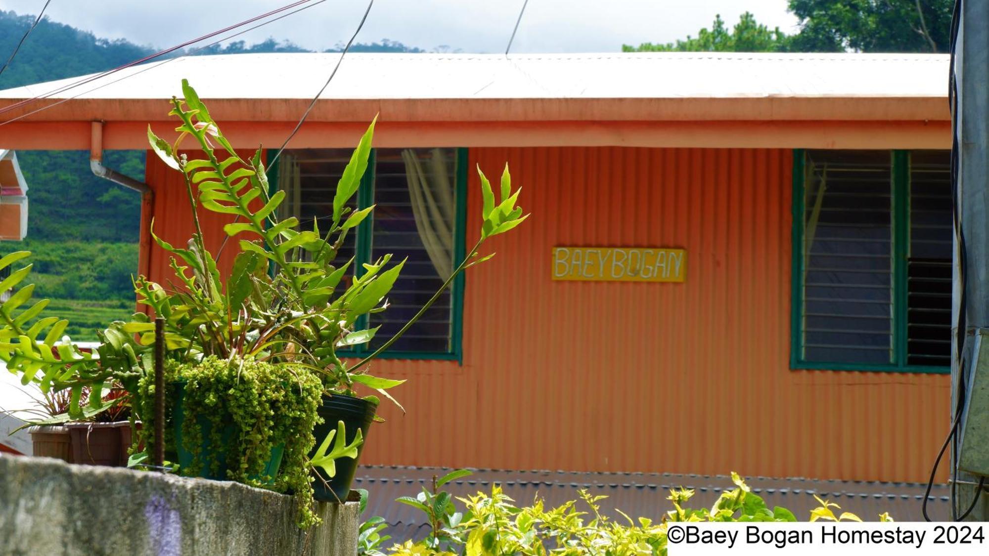 Baey Bogan Homestay Sagada Exteriér fotografie