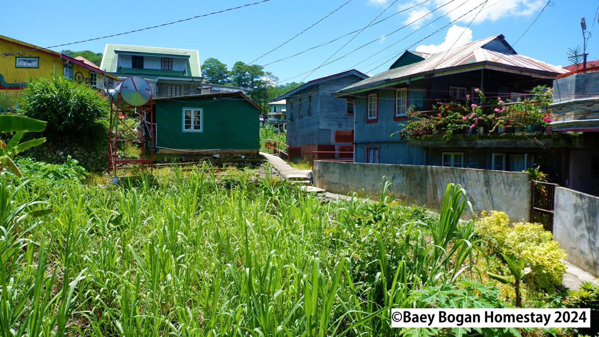 Baey Bogan Homestay Sagada Exteriér fotografie