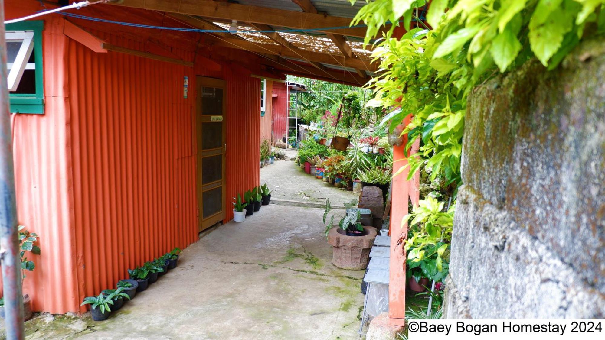 Baey Bogan Homestay Sagada Exteriér fotografie