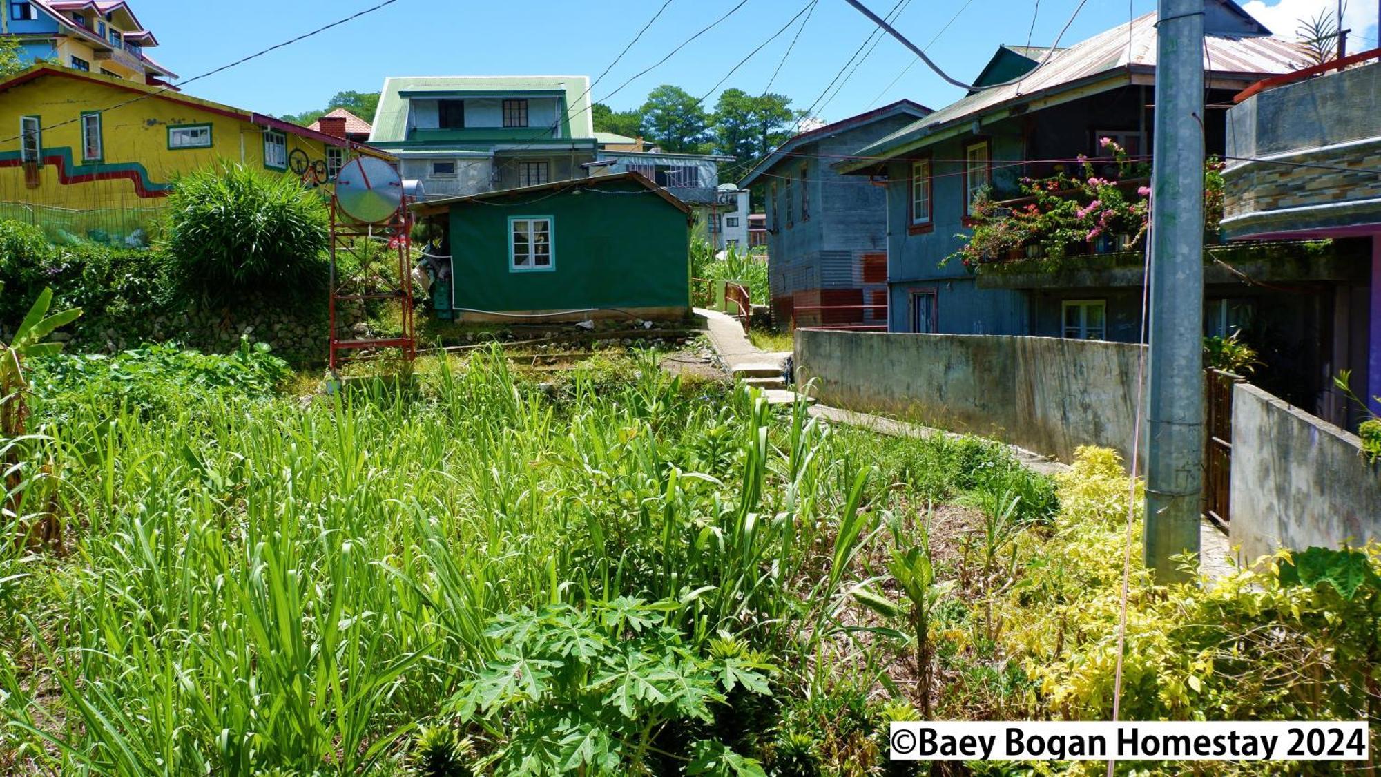 Baey Bogan Homestay Sagada Exteriér fotografie