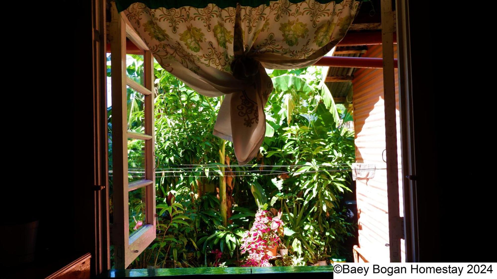 Baey Bogan Homestay Sagada Exteriér fotografie