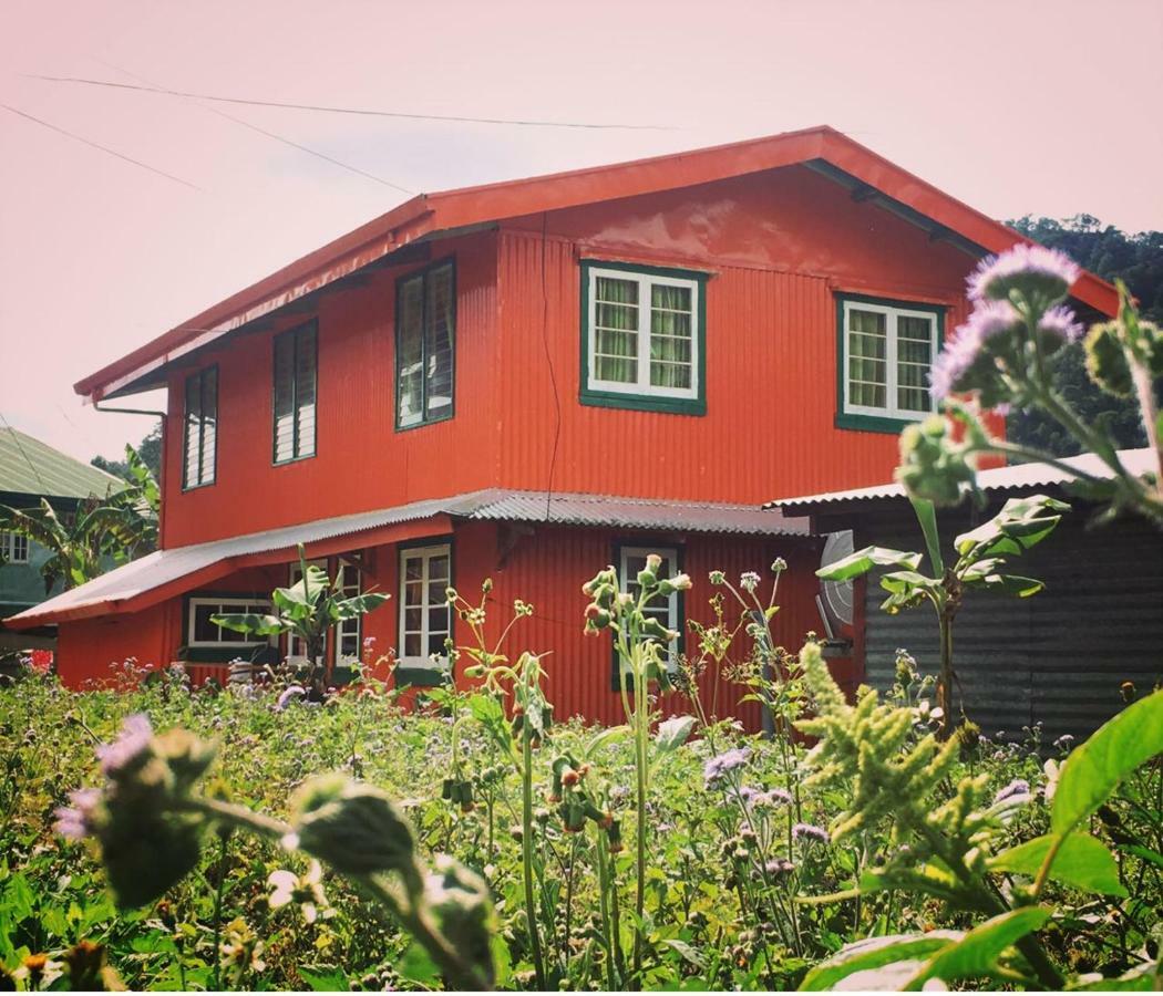 Baey Bogan Homestay Sagada Exteriér fotografie